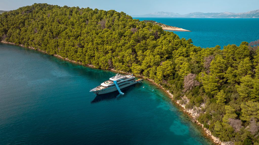 FREEDOM Anchored FREEDOM Anchored